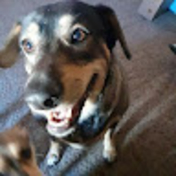 Meet your Posher, A - Picture 1 of 1